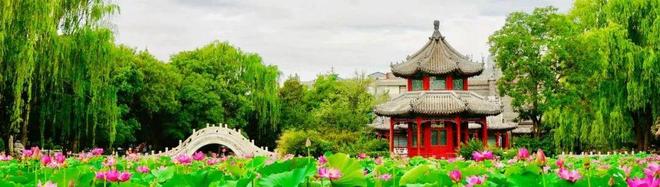 后劲太大！是谁来了保定 不肯说再见？