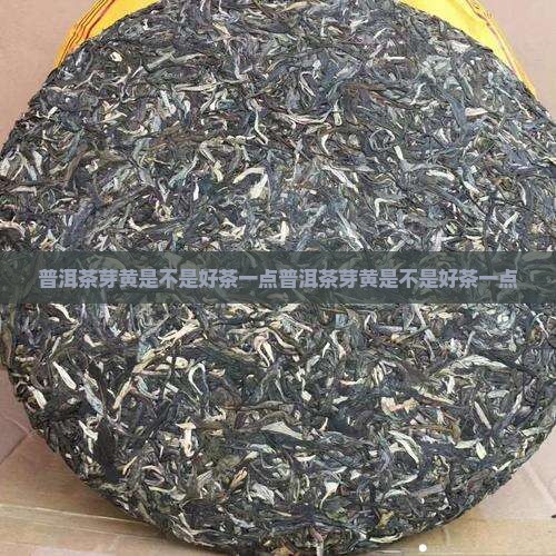 普洱茶芽黄是不是好茶一点