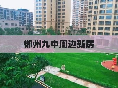 郴州九中周边新房
