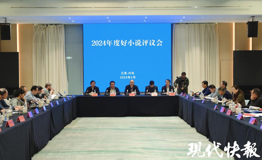 《云落》等四十多篇作品上榜，2024年度中国好小说在兴化发布