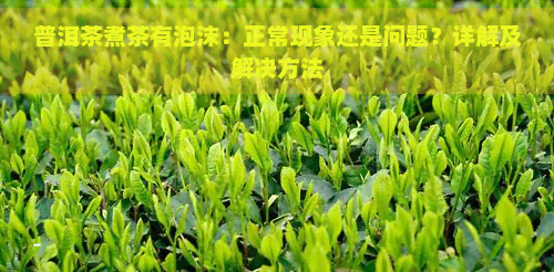 普洱茶煮茶有泡沫：正常现象还是问题？详解及解决方法