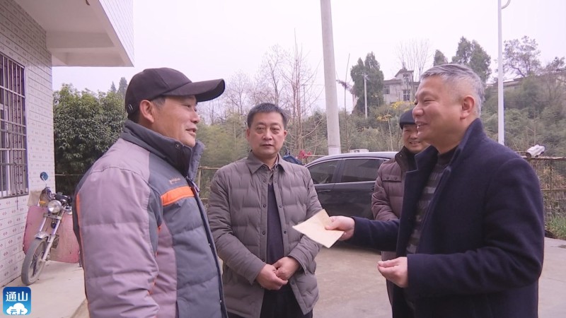 县领导到九宫山镇开展节前走访慰问