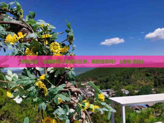 湘潭去重庆两江夜游三日游