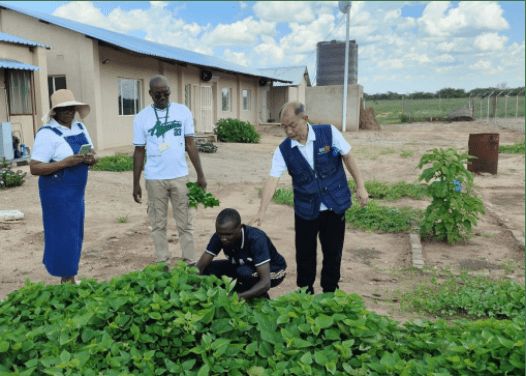 从潜江到纳米比亚：一位农技专家的跨洋“种梦”之旅｜联合国粮农组织｜菌草｜非洲｜中非_网易新闻