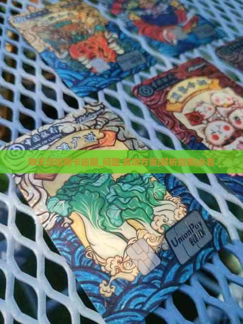 映天泽信用卡逾期