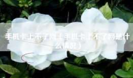 手机卡上不了网（手机卡上不了网是什么情况）