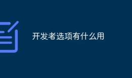 开发者选项有什么用手机动画「开发者选项有什么用」