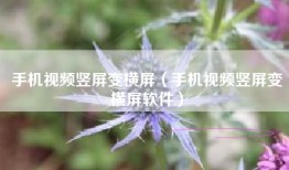 手机视频竖屏变横屏（手机视频竖屏变横屏软件）