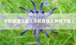 手机直播工具（手机直播工具箱下载）