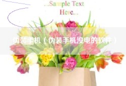 伪装手机（伪装手机没电的软件）