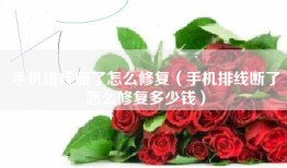 手机排线断了怎么修复（手机排线断了怎么修复多少钱）