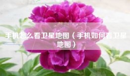 手机怎么看卫星地图（手机如何看卫星地图）