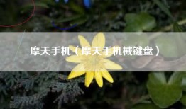 摩天手机（摩天手机械键盘）