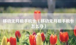 移动无月租手机卡（移动无月租手机卡怎么办）