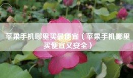 苹果手机哪里买最便宜（苹果手机哪里买便宜又安全）