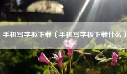 手机写字板下载（手机写字板下载什么）