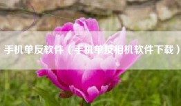 手机单反软件（手机单反相机软件下载）