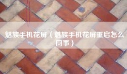 魅族手机花屏（魅族手机花屏重启怎么回事）