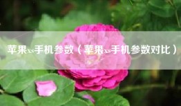 苹果xs手机参数（苹果xs手机参数对比）