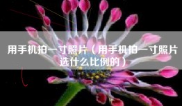 用手机拍一寸照片（用手机拍一寸照片选什么比例的）