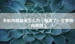 手机内屏漏液怎么办（漏液了一定要换内屏吗）