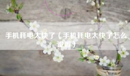 手机耗电太快了（手机耗电太快了怎么设置）
