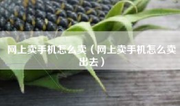网上卖手机怎么卖（网上卖手机怎么卖出去）
