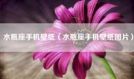 水瓶座手机壁纸（水瓶座手机壁纸图片）