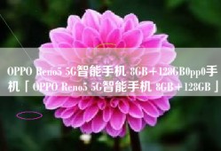 OPPO Reno5 5G智能手机 8GB+128GB0pp0手机「OPPO Reno5 5G智能手机 8GB+128GB」