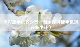 保时捷手机多少钱一台（保时捷手机现在多少钱）