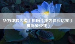 华为体验店卖手机吗（华为体验店卖手机吗多少钱）
