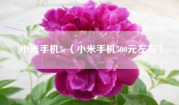 小米手机5c（小米手机500元左右）