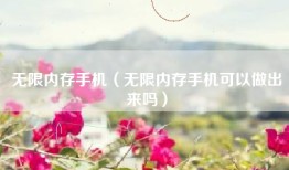 无限内存手机（无限内存手机可以做出来吗）