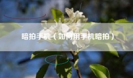 暗拍手机（如何用手机暗拍）