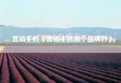 营销手机（营销手机哪个品牌好）