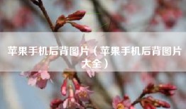 苹果手机后背图片（苹果手机后背图片大全）