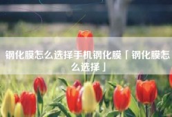 钢化膜怎么选择手机钢化膜「钢化膜怎么选择」