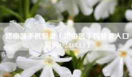 路由器手机登录（路由器手机登录入口官网192.168.1.1）