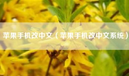 苹果手机改中文（苹果手机改中文系统）