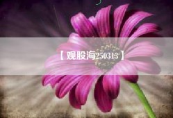 【观股海250313】