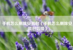手机怎么删除安装包（手机怎么删除安装包后缀）