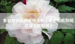 索尼相机如何连接手机（索尼相机如何连接手机拍照）