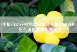 手机自动开机怎么设置（手机自动开机怎么设置在哪里关闭）