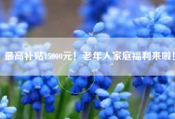 最高补贴15000元！老年人家庭福利来啦！