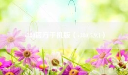 v380官方手机版（v380 5.9.1）