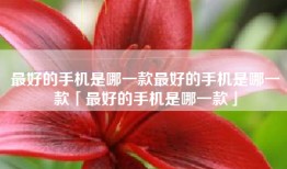 最好的手机是哪一款最好的手机是哪一款「最好的手机是哪一款」
