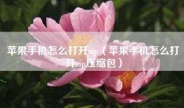 苹果手机怎么打开zip（苹果手机怎么打开zip压缩包）