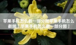 苹果手机怎么截一部分图苹果手机怎么截图「苹果手机怎么截一部分图」