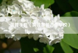 英普手机（英普智能合作学校）