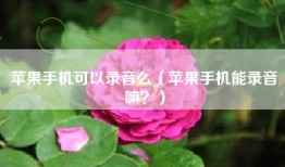 苹果手机可以录音么（苹果手机能录音嘛？）